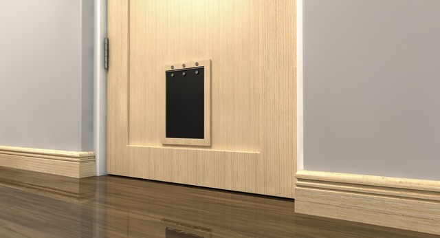 Cat Flap Installation Esher, Claygate, KT10