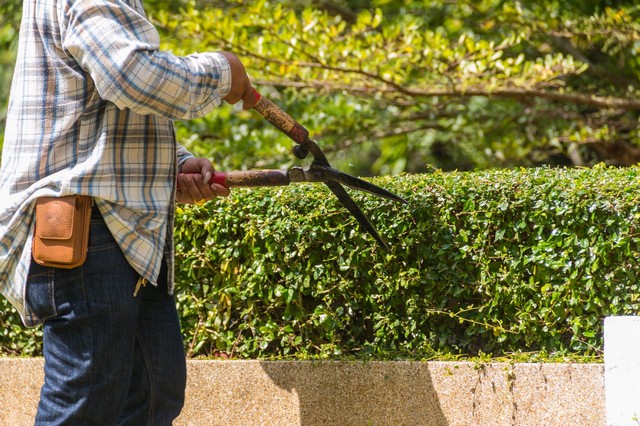 Garden Maintenance Esher, Claygate, KT10